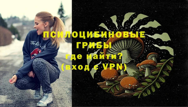 хмурый Алзамай